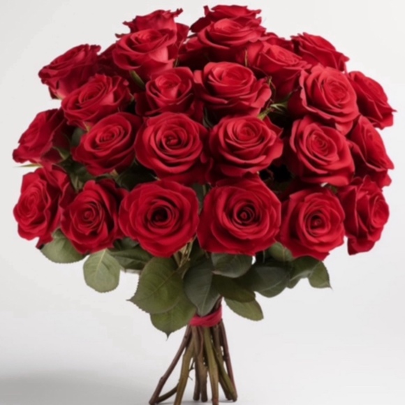 Meet your Posher, Avalon - Picture 1 of 1